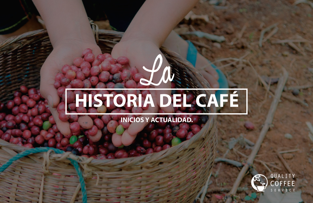 La historia del café y su presencia en Chile. - Quality Coffee